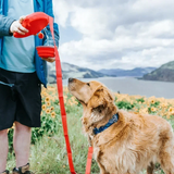 Multifunctional Doggo Kit